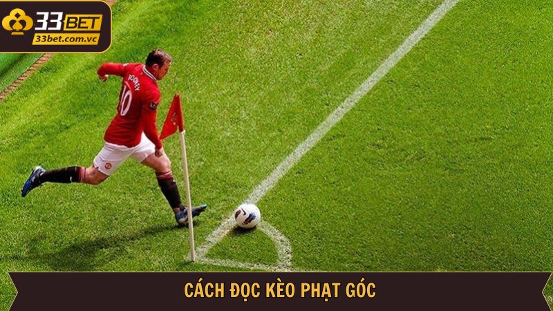 Hướng dẫn đọc kèo phạt góc hội viên nên biết